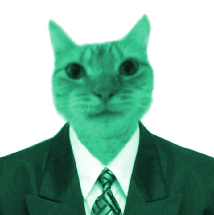 Jkpinkin's tweet photo. El nuevo formato,ahora sí que sí,y por si alguien se lo pregunto es en honor a una leyenda de esta red social que cayó en nombre de todos los Alonsistas, hablo de @perroalonsista D.E.P 🕊️
La nueva era ha comenzado #gatoalonsista #twitterF1 https://t.co/OxT0dm5cRp