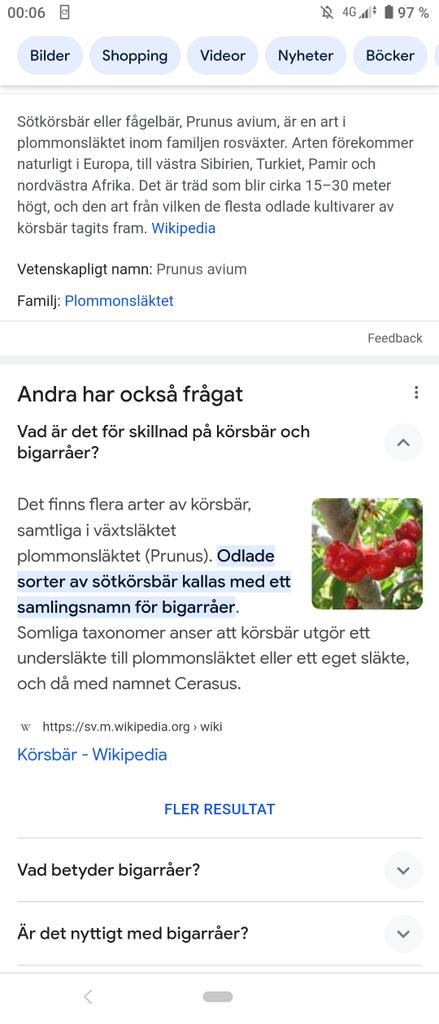 Sofie- ✨ tweet media