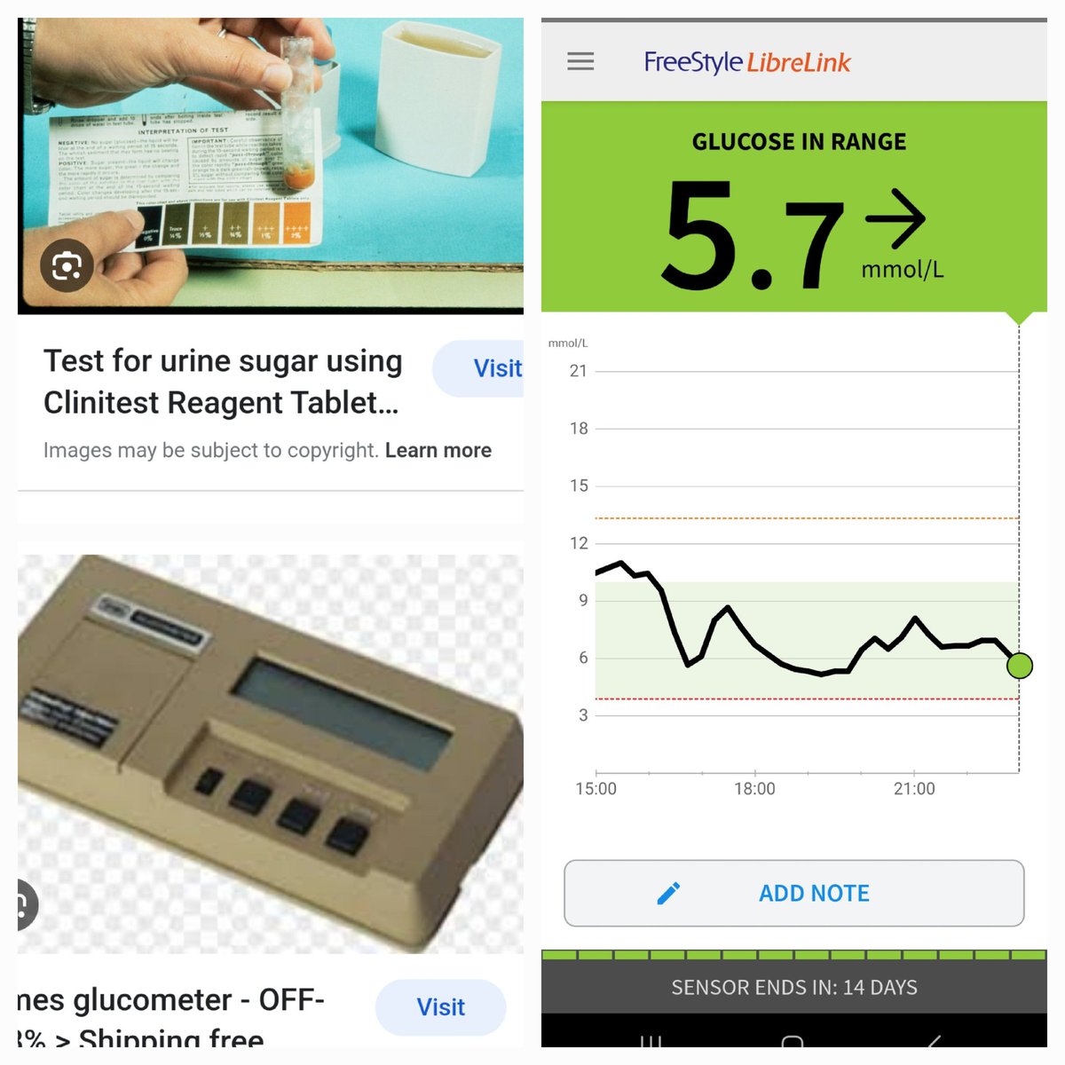 Avi Freeman tweet media