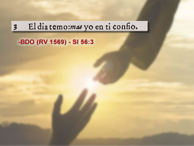 onlyfindtruth's tweet photo. BDO (RV 1569) - Sal 56:3 https://t.co/3tyMDxTvcD