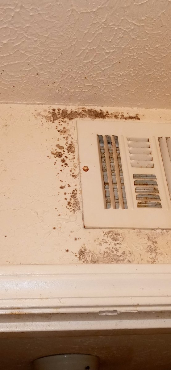 djvesper's tweet photo. @GAProsecutors We've been trying to get our #slumlord @AdvenirL to comply w/ GA Law /our lease &amp; do a black-mold test.

After a letter from our attorney did they FINALLY comply.

After the black-mold test came back + (we knew it would), they fired ALL staff 4 doing their job. 1/2 https://t.co/MAqKTdjCNb