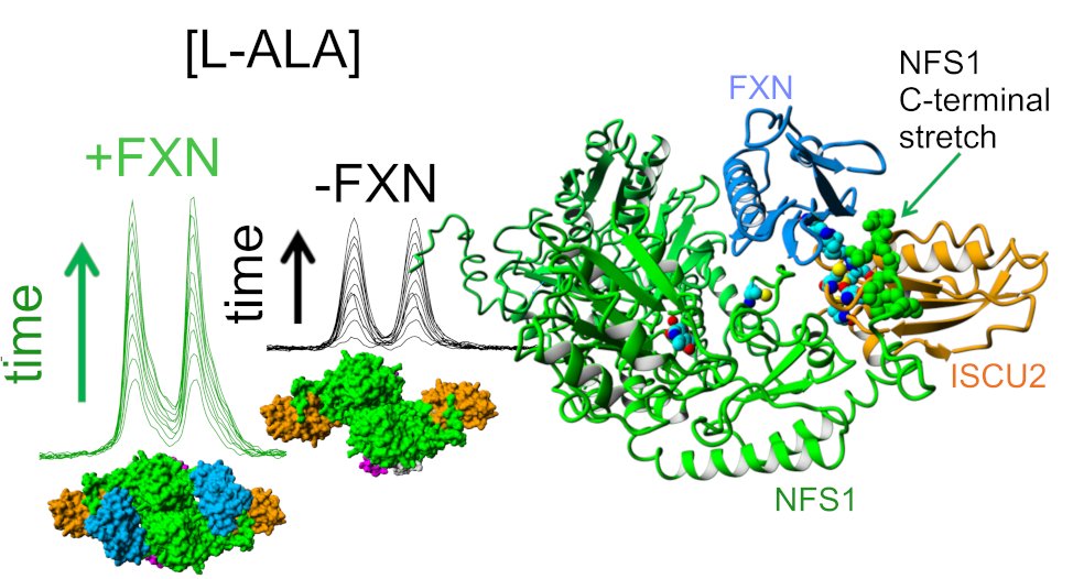iB3 en FCEN-UBA tweet media