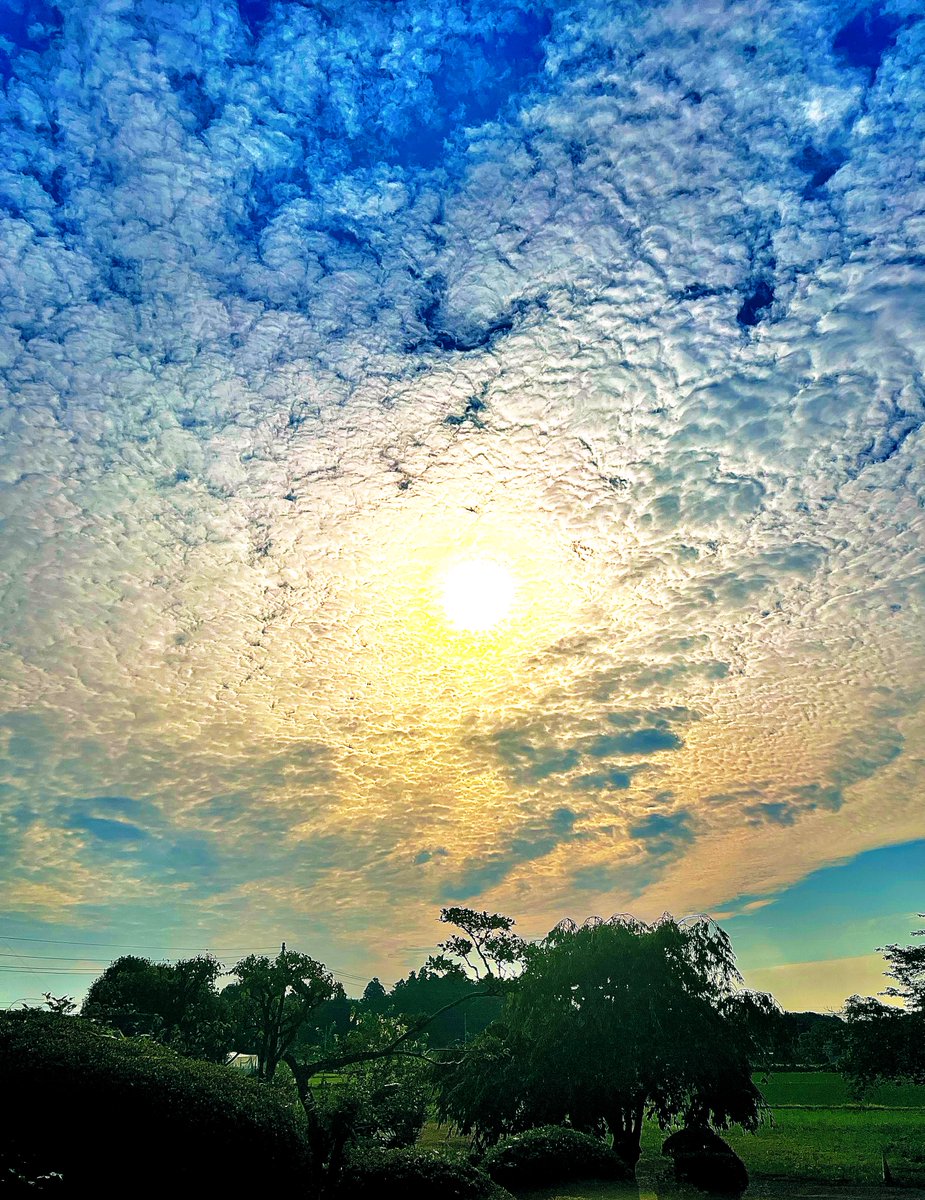 ¨
おはようございます✨

今日も穏やかな一日になりますように🍀

#イマソラ #アサソラ #朝ソラ #朝空