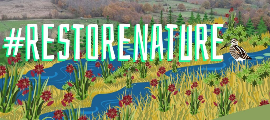 Se vi siete persi la puntata che abbiamo dedicato ieri al tortuoso percorso che ha portato all'approvazione della #NatureRestorationLaw, potete riascoltarla qui:  
raiplaysound.it/audio/2023/07/…