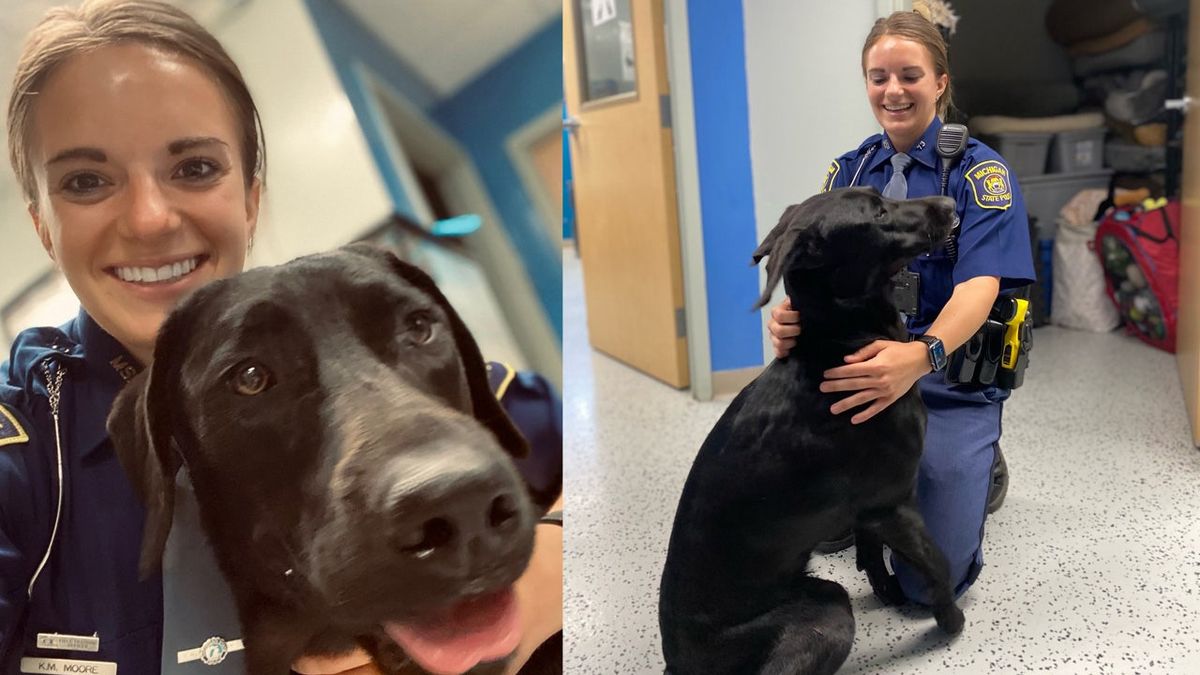 FOX2News's tweet photo. Michigan State Police trooper adopts abandoned dog after forming bond on way to shelter https://t.co/fRrPvh61n5 https://t.co/BJz1sCDyDW