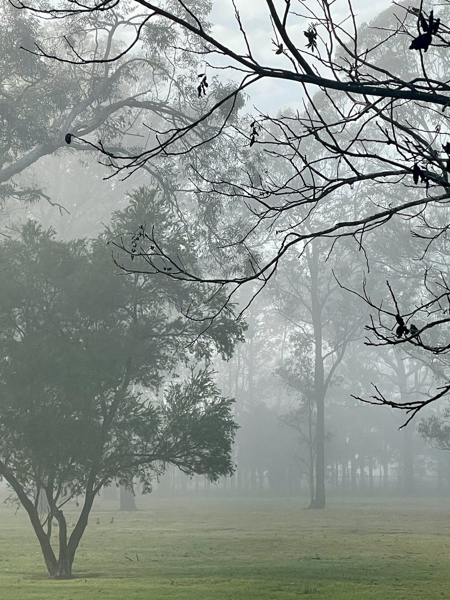 Luke van Peel tweet media