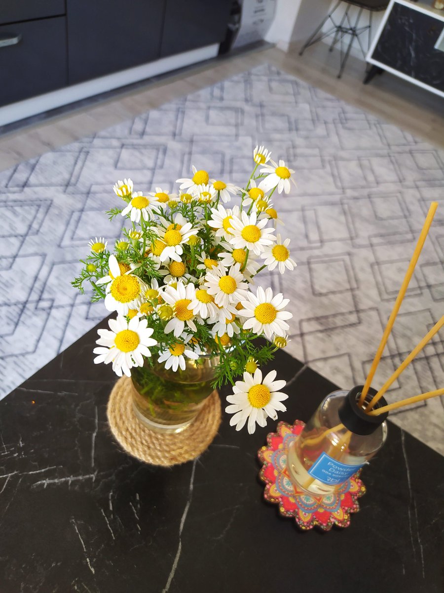 runadves's tweet photo. @pandirella Evet 🥺🌼🧡 https://t.co/OnBVUdgS5H