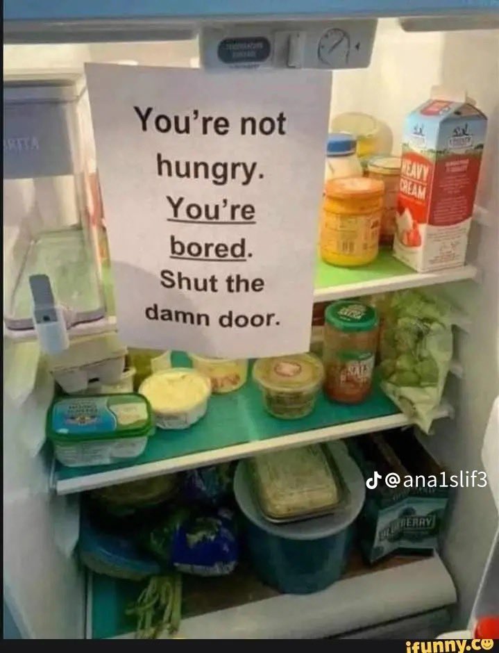 koyaviolaa's tweet photo. If I lived alone this would be everywhere https://t.co/EqGL2zFofT