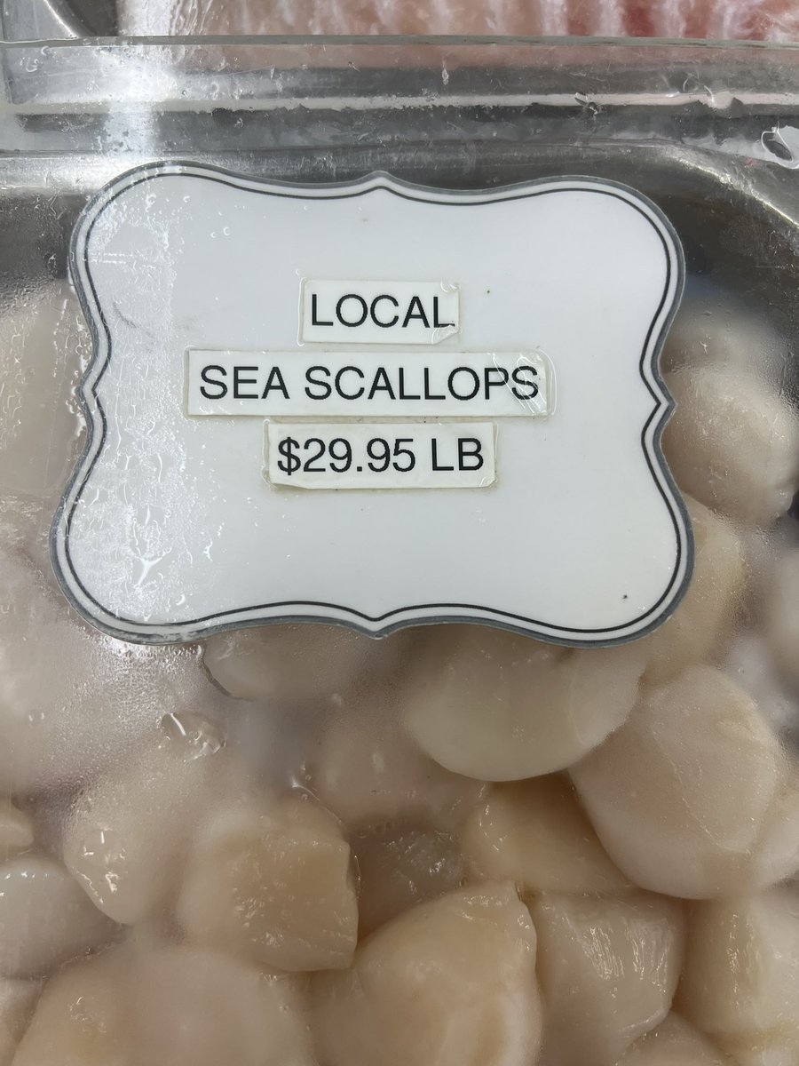 c8ters's tweet image. Grocery shopping, trying to figure out which band name to have for dinner