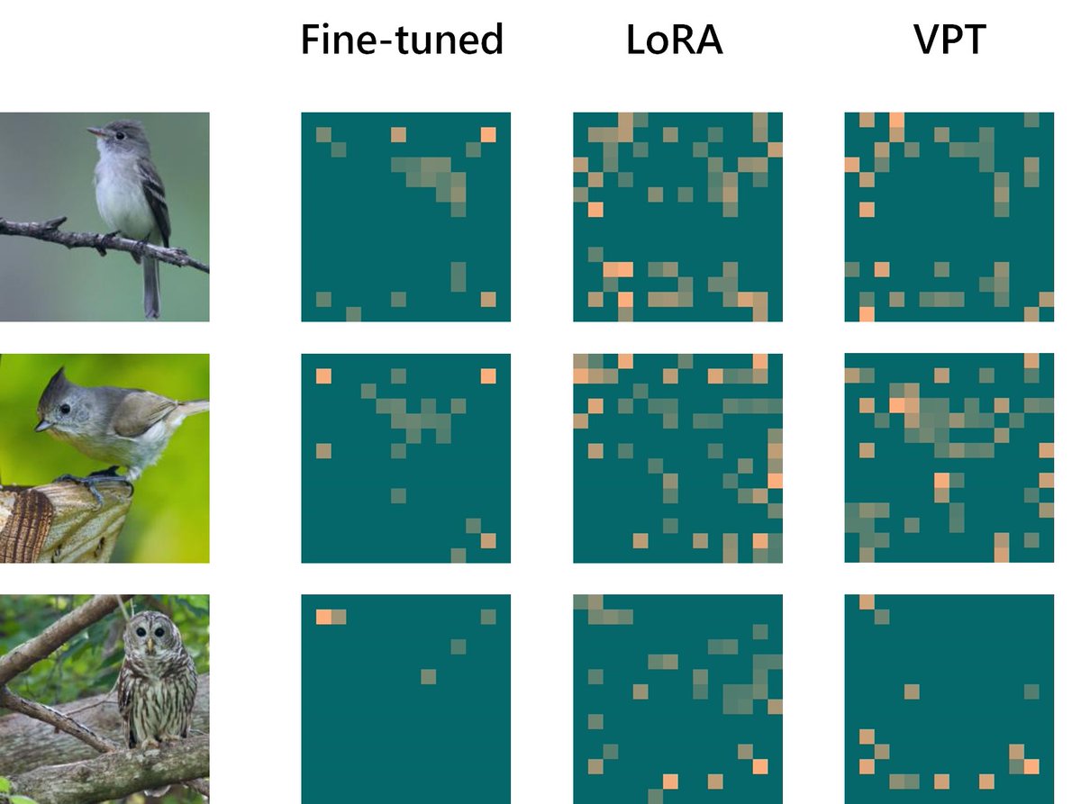 We have lots of cool algorithms (fine-tuning, LoRA, prompt tuning...) that can adapt a pre-trained model to a downstream task, but what do they MISS? Surprisingly, we find models trained with these algorithms have trouble with focusing their attention!