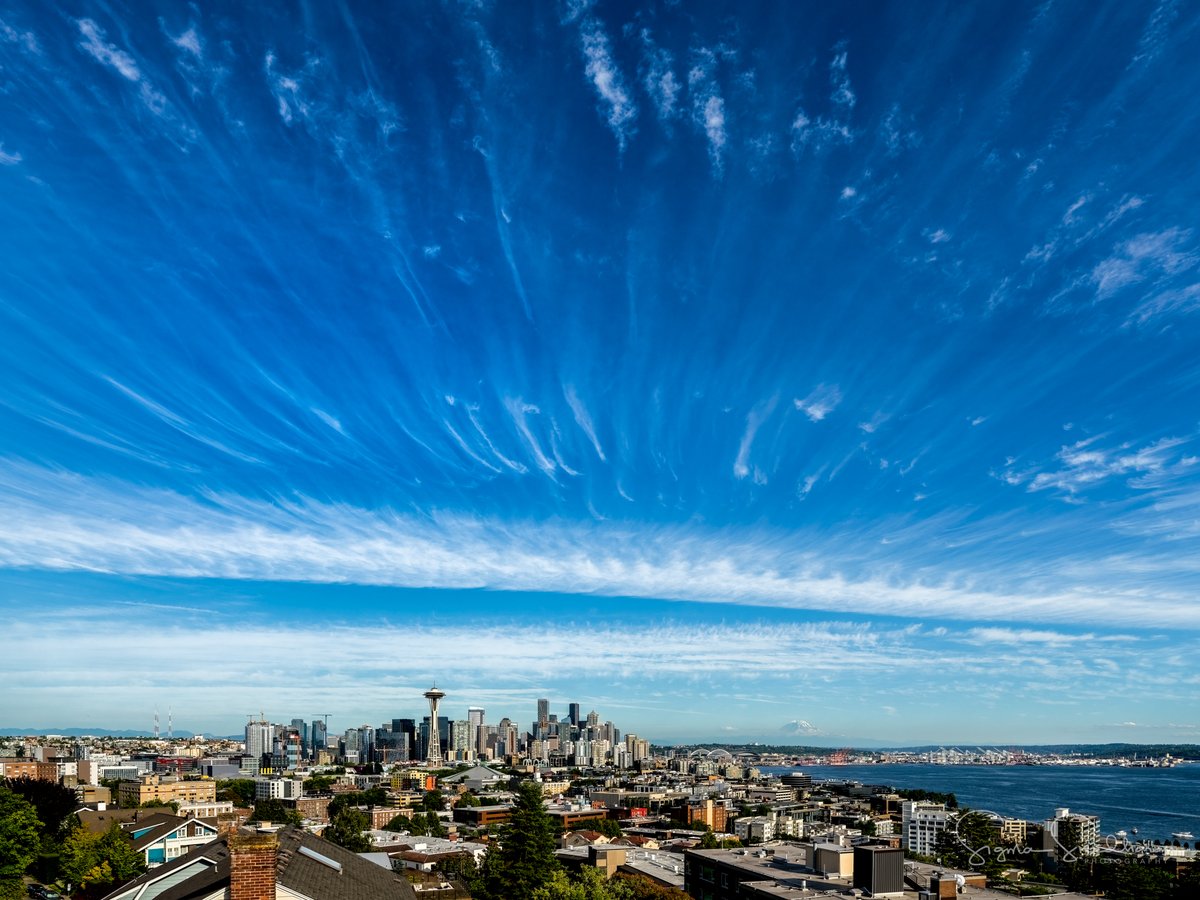 Sigma Sreedharan tweet media