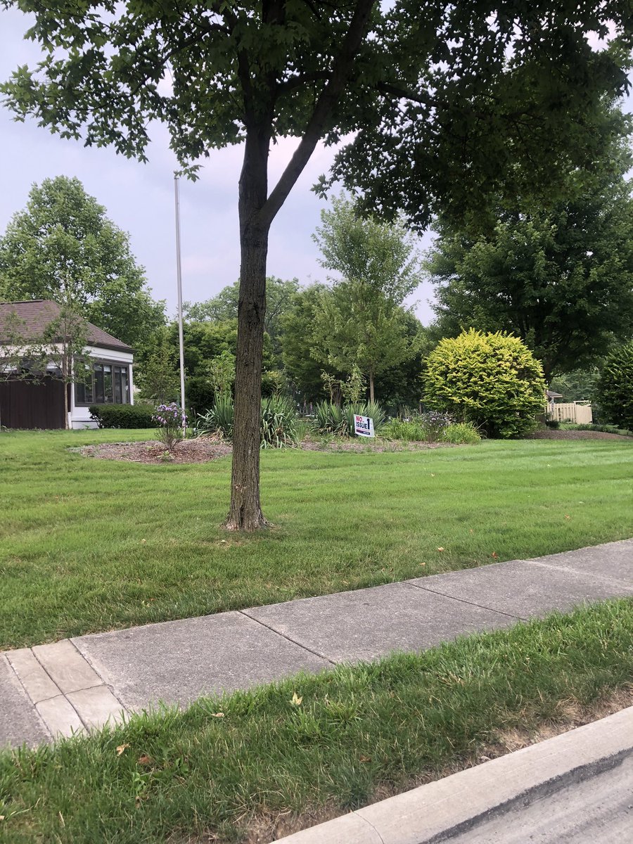 Michaela H Burriss on Twitter "I’m 💀 Not only did this dude attack