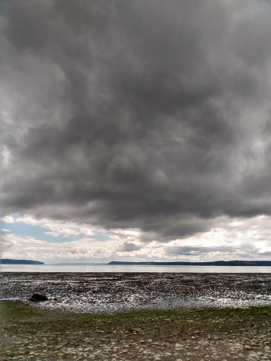 Low tide and clouds today #PNW #BeachTherapy