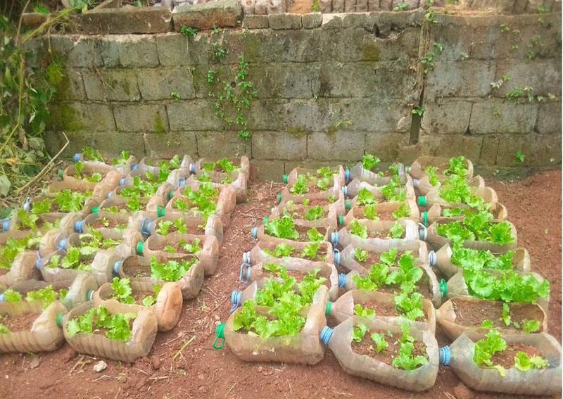 «Ma voix d’agripreneurs».  Notre rendez vous hebdomadaire du samedi. Comme toujours, nous vous (cher.e.s abonné.e.s) demandons de «vous» raconter : votre histoire, astuce, leçon... pour réussir dans le monde agro-pastoral? Racontez nous en commentaires ...