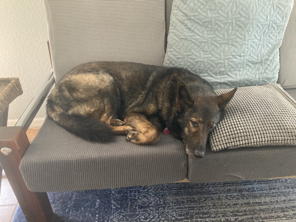 Kathleen McClusky tweet media