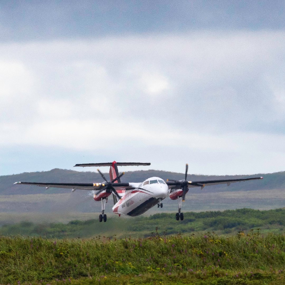 There's truly no place like Alaska in July!

Which Ravn destination is your favorite to visit during the summer? Tell us in the comments!

#RavnAlaska #WeFlyAlaskaHome #Aviation #Alaska #AlaskaAviation #Anchorage #Kenai #HomerAK #DutchHarbor #Valdez #SandPoint