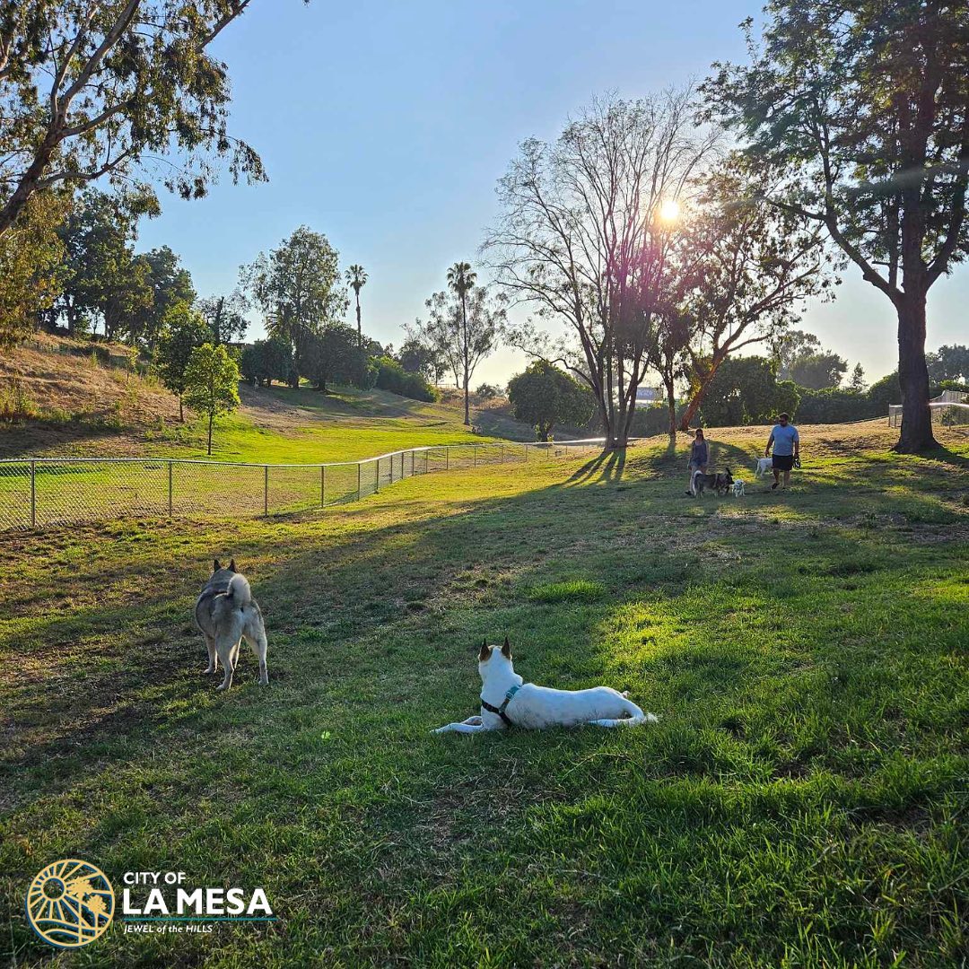 📢The latest City Manager Update newsletter is here! 

🚧Updates on the Collier Park Renovation Project
🔥Heat wave safety tips to stay cool
🐶The new off-leash dog run in MacArthur Park

Read: conta.cc/3PUkN8T
Subscribe: bit.ly/3DktjGw