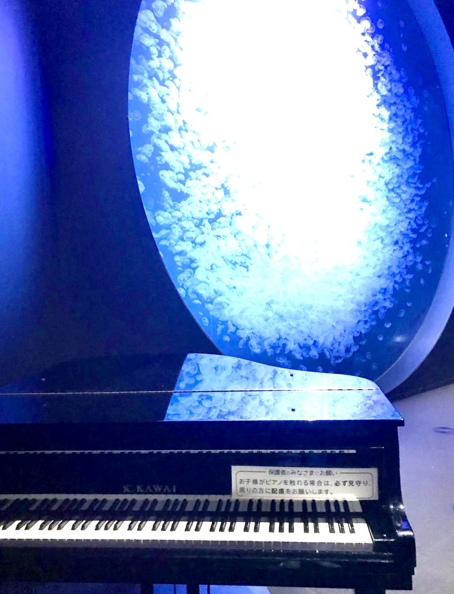 DaredemoPiano's tweet photo. ◆新着◆

山形県　鶴岡市立加茂水族館

幻想的なクラゲ水槽の前にグランドピアノ！

夢みたいな空間ですね♪

https://t.co/ksRIoV9xcD https://t.co/D9R53DXYSv