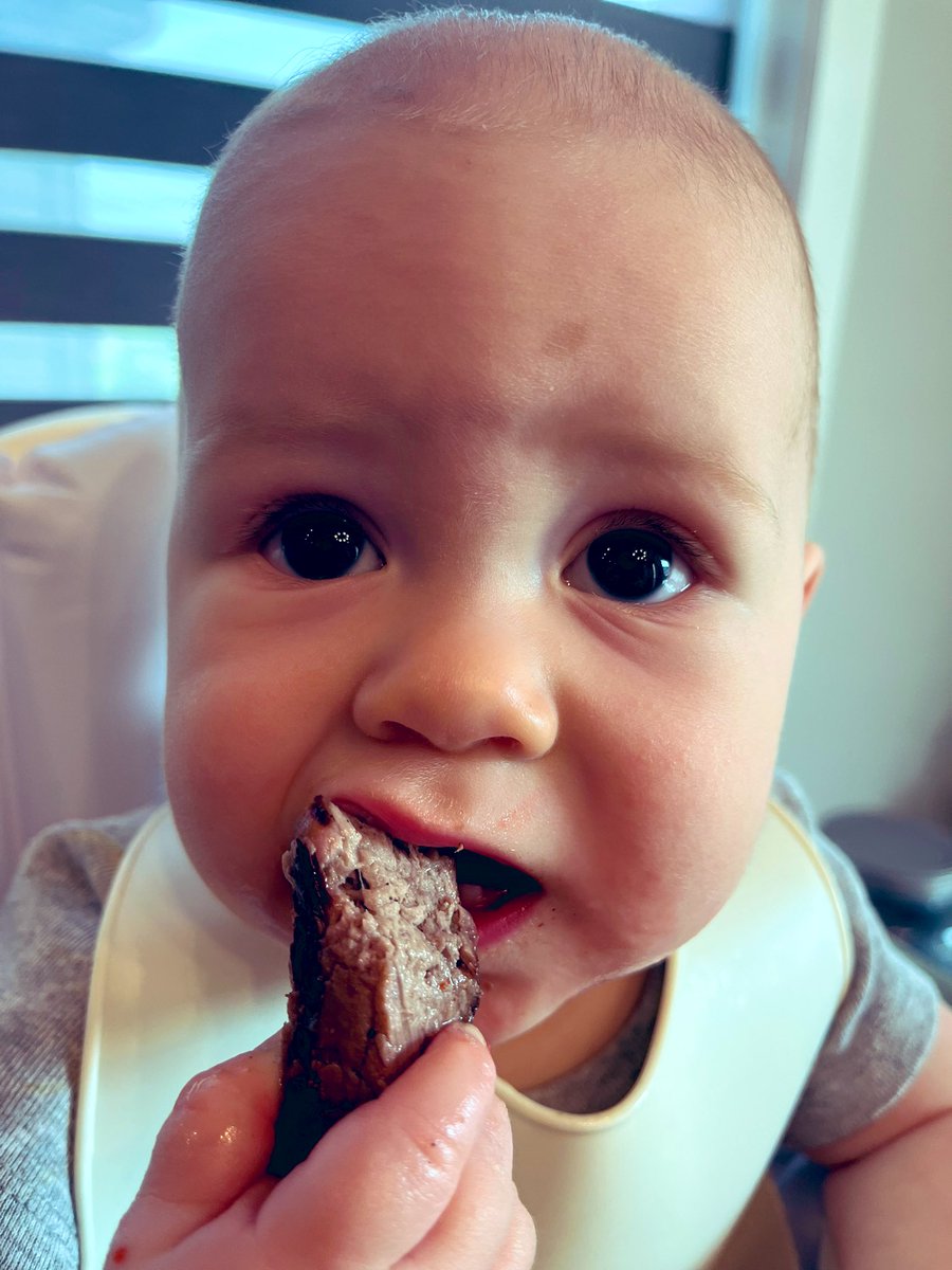 Likes steak. 🥩 He can stay. #CorbinMatthew #Beef <a href="/NECattlemen/">Nebraska Cattlemen®</a>