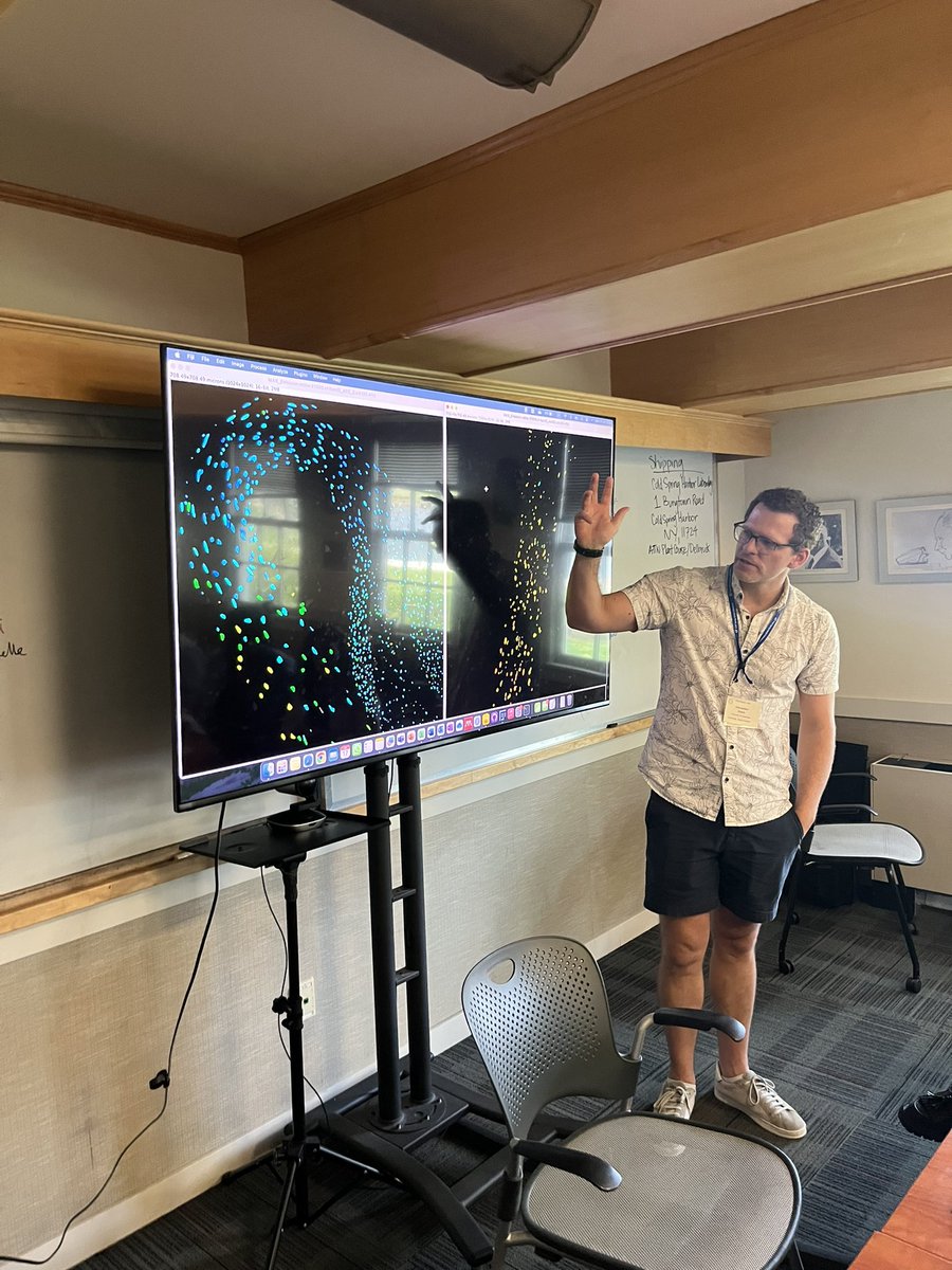 CSHLPlantSchool's tweet photo. Another day of beautiful imaging, this time of a genetically-encoded giberellin biosensor in Arabidopsis with @xanderjones82 . Our amazing students got some insights into cross-talk between GA and ethylene signalling in etiolated seedlings 🌱 https://t.co/FmI9vDGcgI