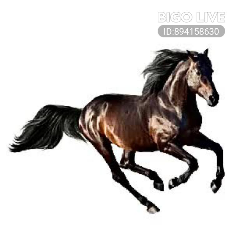 Come to chat in سكرتير داعم's LIVE room and earn bonus! New users or returning users fill in my invitation code 1740
slink.bigovideo.tv/juRqSG