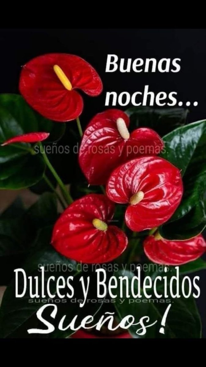 #CongresoMundialDePoesía
<a href="/estr3mao1411/">🇻🇪☕Vicente Flores☕🇻🇪</a> 
<a href="/_Karenpnt/">Karen</a> 
<a href="/Alberto04498240/">Alberto</a> 
<a href="/AlbertoPsuv1/">Alberto PSUV</a> 
<a href="/Alejandro25828/">Alejandro Marquez</a>
<a href="/Alvarex2808/">Alvarex</a>