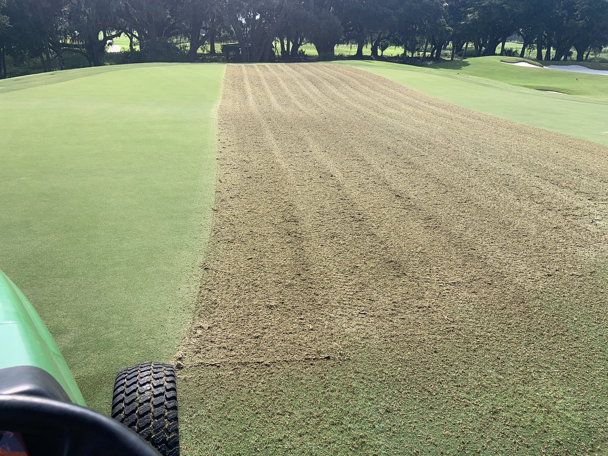 Southern Turfgrass Services tweet media