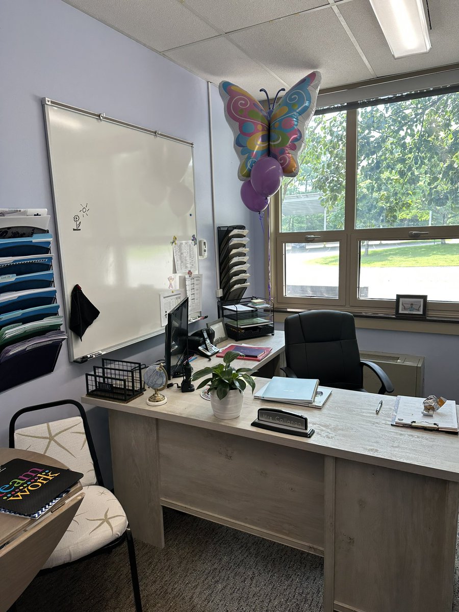 Marybeth Callanan tweet media