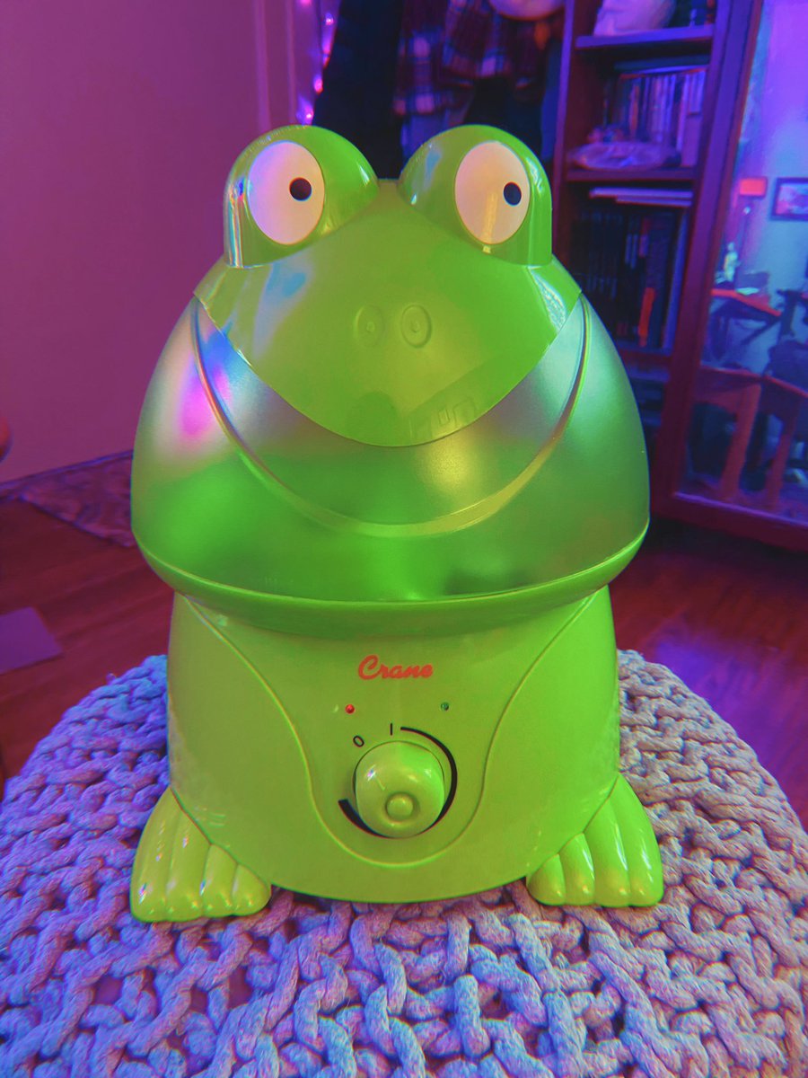 pot8um's tweet photo. My new humidifier 😭🐸💚 https://t.co/yxyZduxFX3