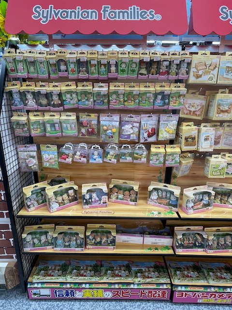 Chris Arnade 🐢🐱🚌 tweet media