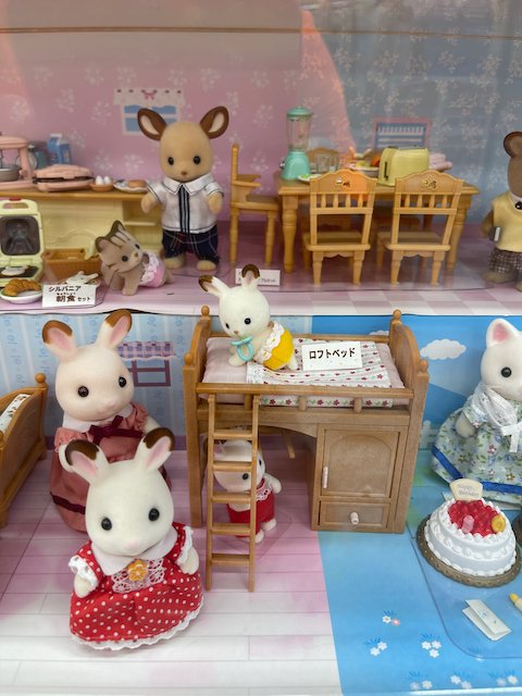 Chris Arnade 🐢🐱🚌 tweet media