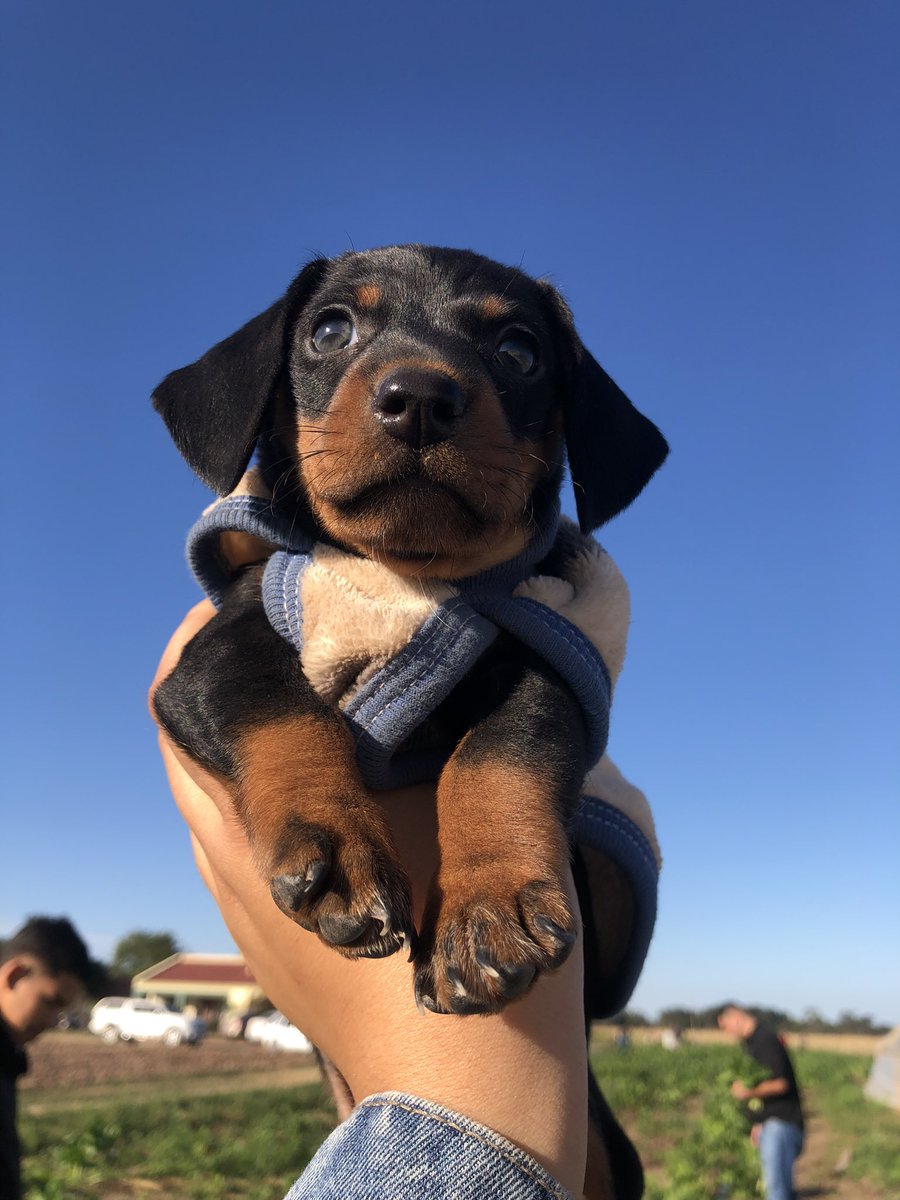 Una semana de vos, enamorada de mi bebita, mi Beltra 😍😍