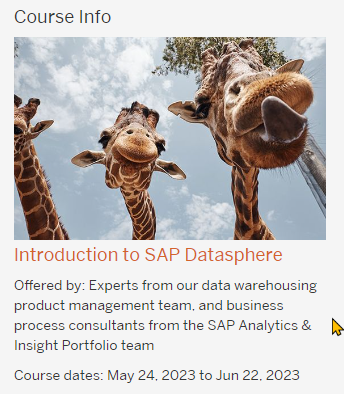 Open SAP MOOCs are great for introductions and topics that don't go very deep @SAPLearning 

But what do the Giraffes have to do with #SAPDatasphere? 
🦒🦒🦒

One looks like it just ate my hat