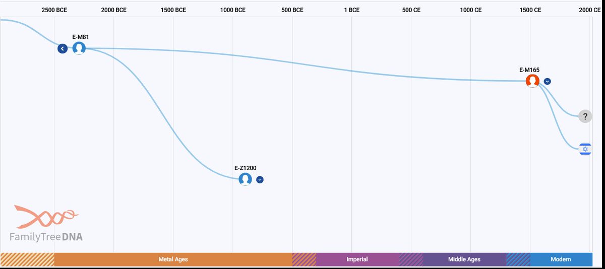 السّرحان tweet media