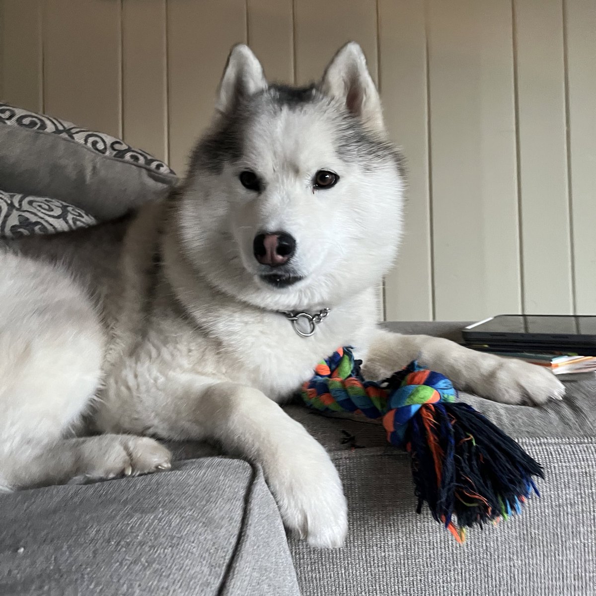 Mike Engel tweet media