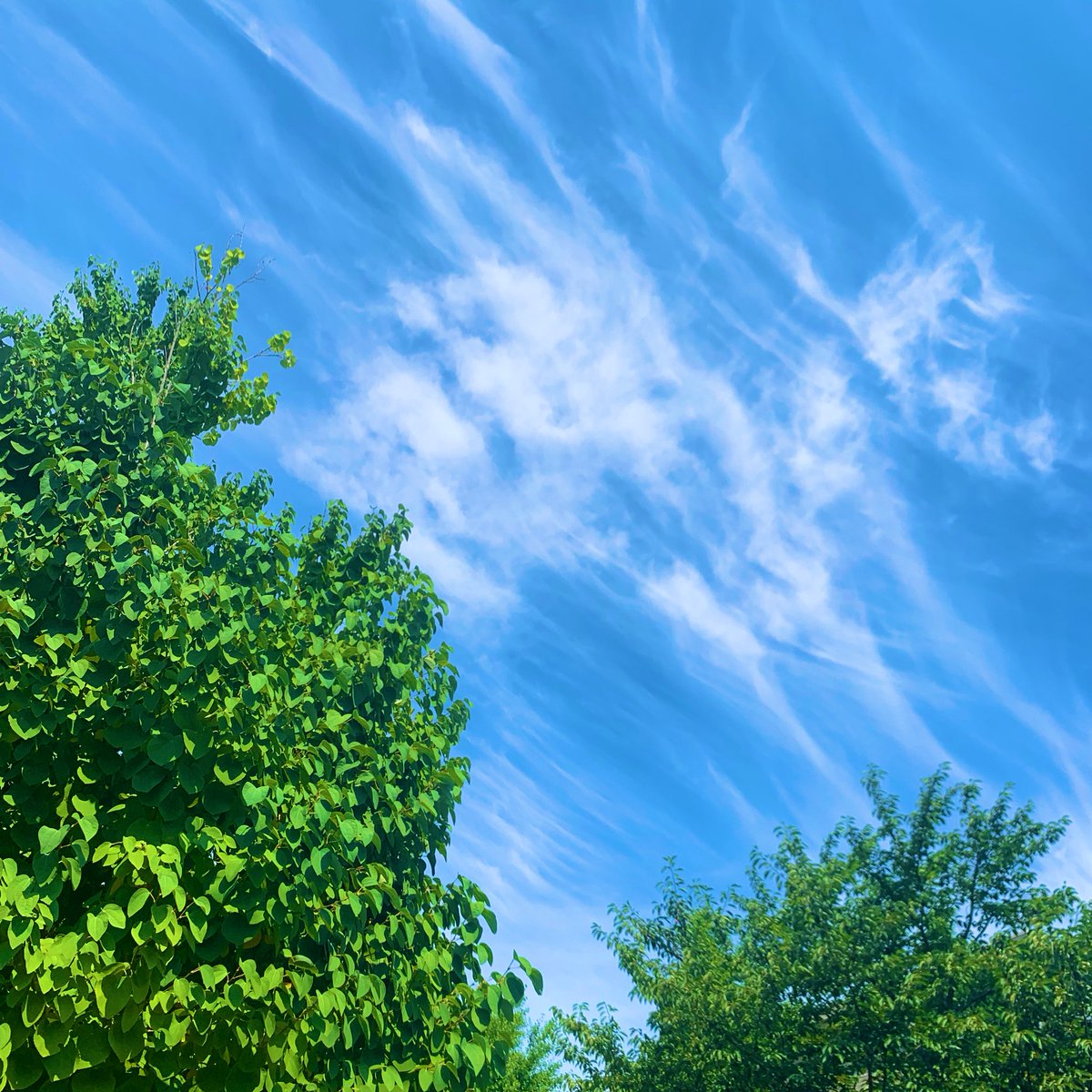 NIDS_REB's tweet photo. 皆様おはレブー🌞東京は晴れ…ってかとにかく暑い🥵暑すぎて鼻水出てきたのはなぁぜなぁぜ❓
皆様にとって素敵な1日になります様に🌈🦄
#不動産　#イマソラ　#企業公式相互フォロー　#企業公式が地元の天気を言い合う https://t.co/MTSX1GIRC5
