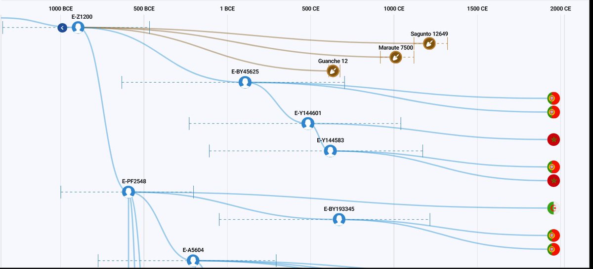 السّرحان tweet media