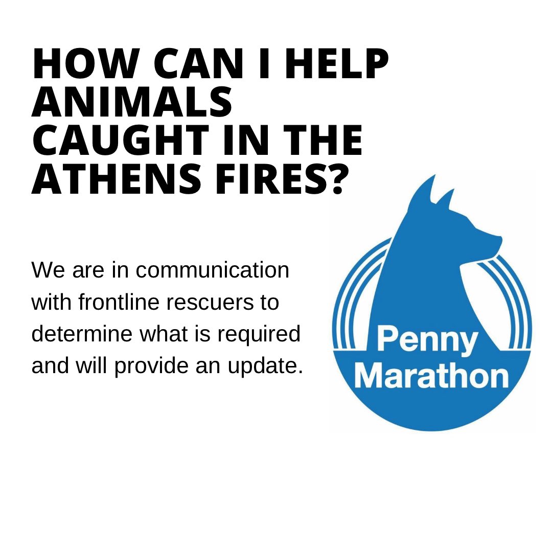 Penny Marathon (@pennymarathon) on Twitter photo 