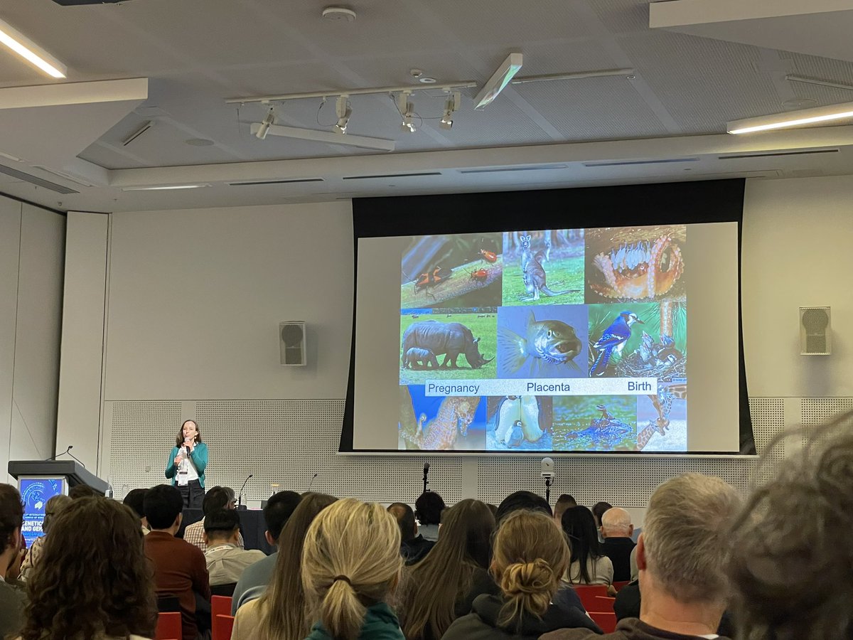 Charles Foster tweet media