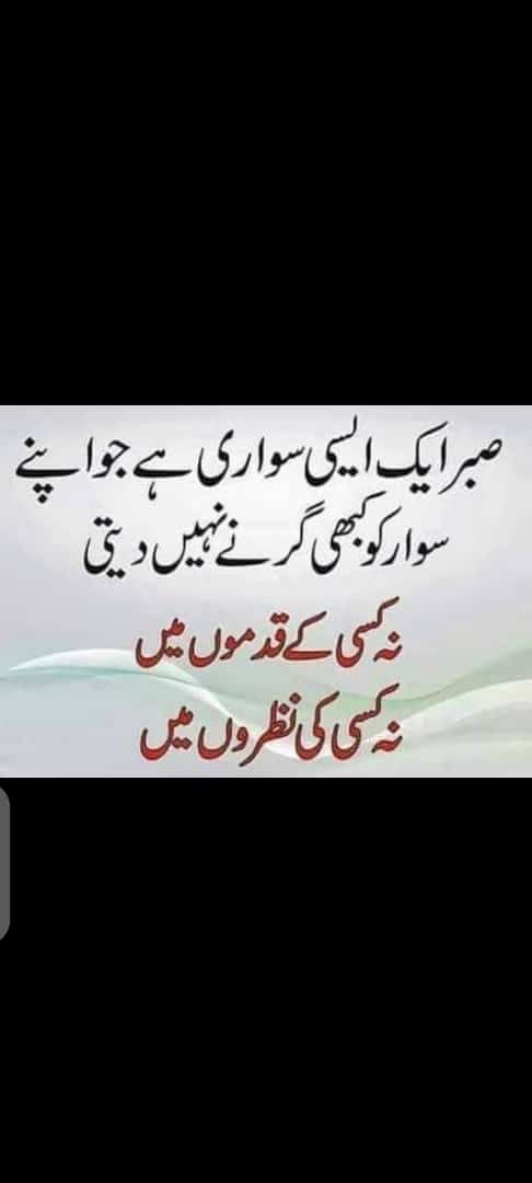 M Zakria Jamali tweet media