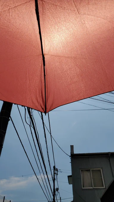 陽射しヤバすぎて雨用の折りたたみ傘を日傘代わりにしても余裕で貫通してくるの太陽くん良くないよね?有給余らさないでつかってよね、人事から突かれるの僕なんだからさぁ 