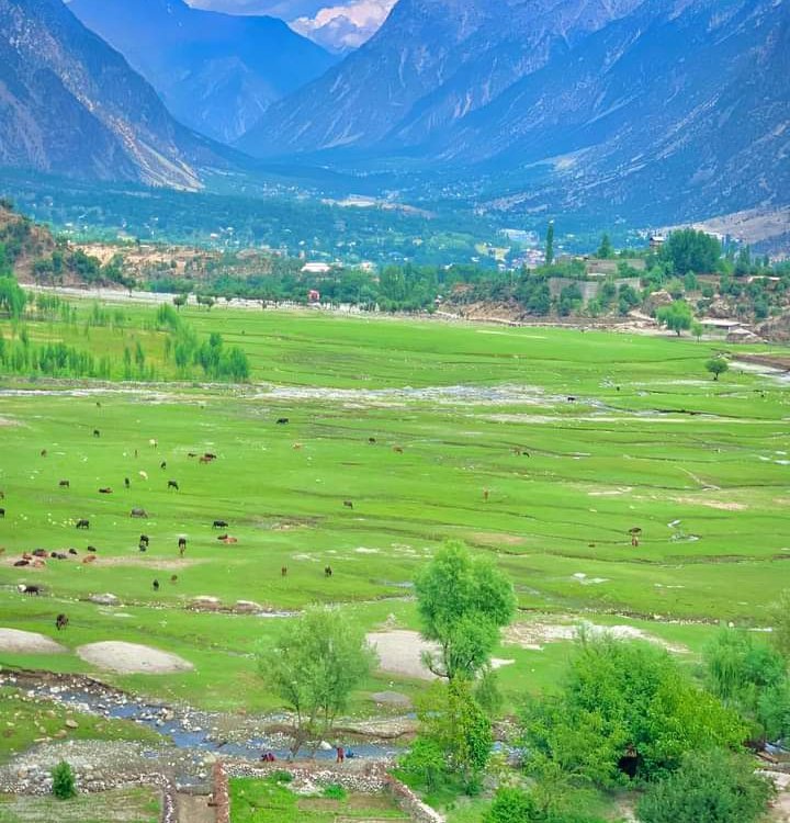 M Zakria Jamali tweet media