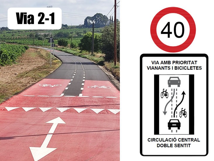 VAIC Mobility tweet media