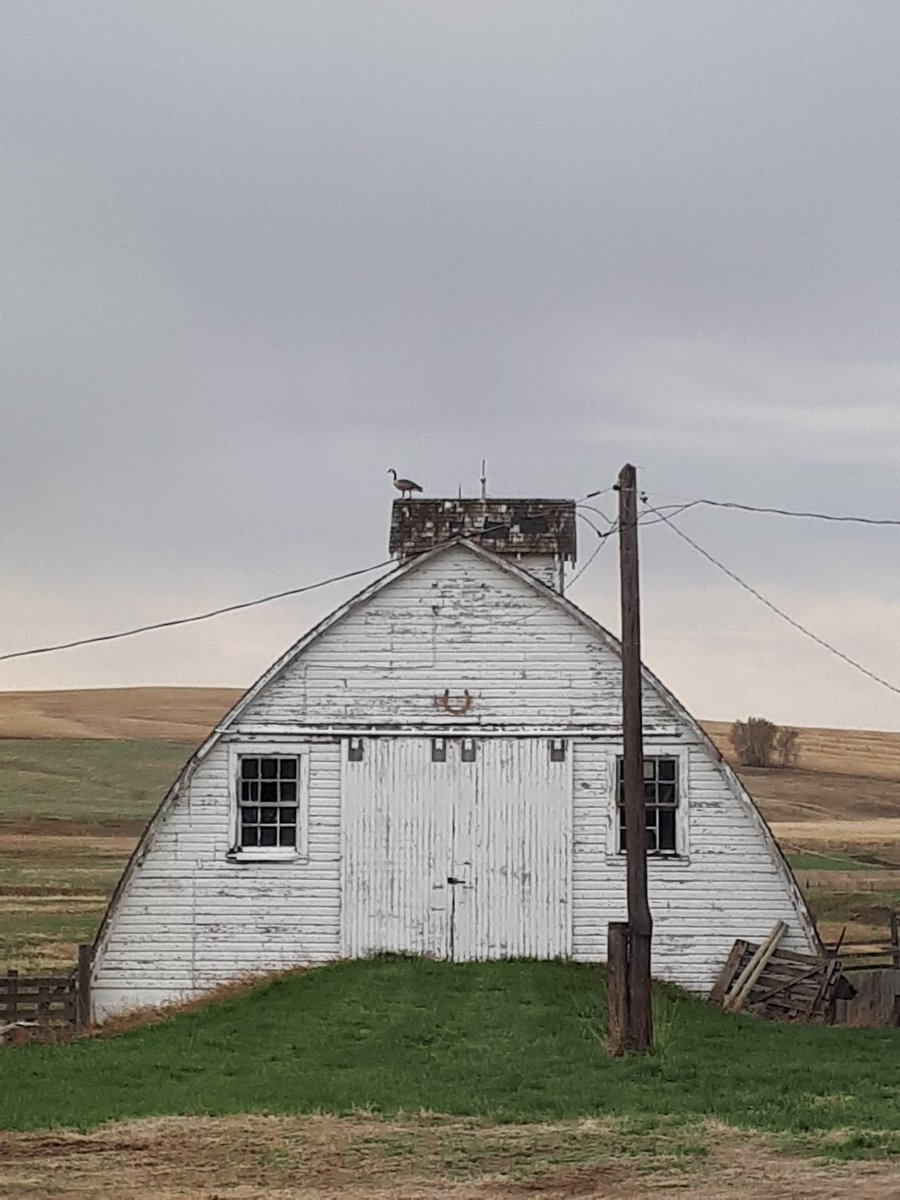 GreenGrazeWill's tweet photo. @BuffaloAgLtd 2 story building. Walk out on back side. https://t.co/6kK7aZNKFH