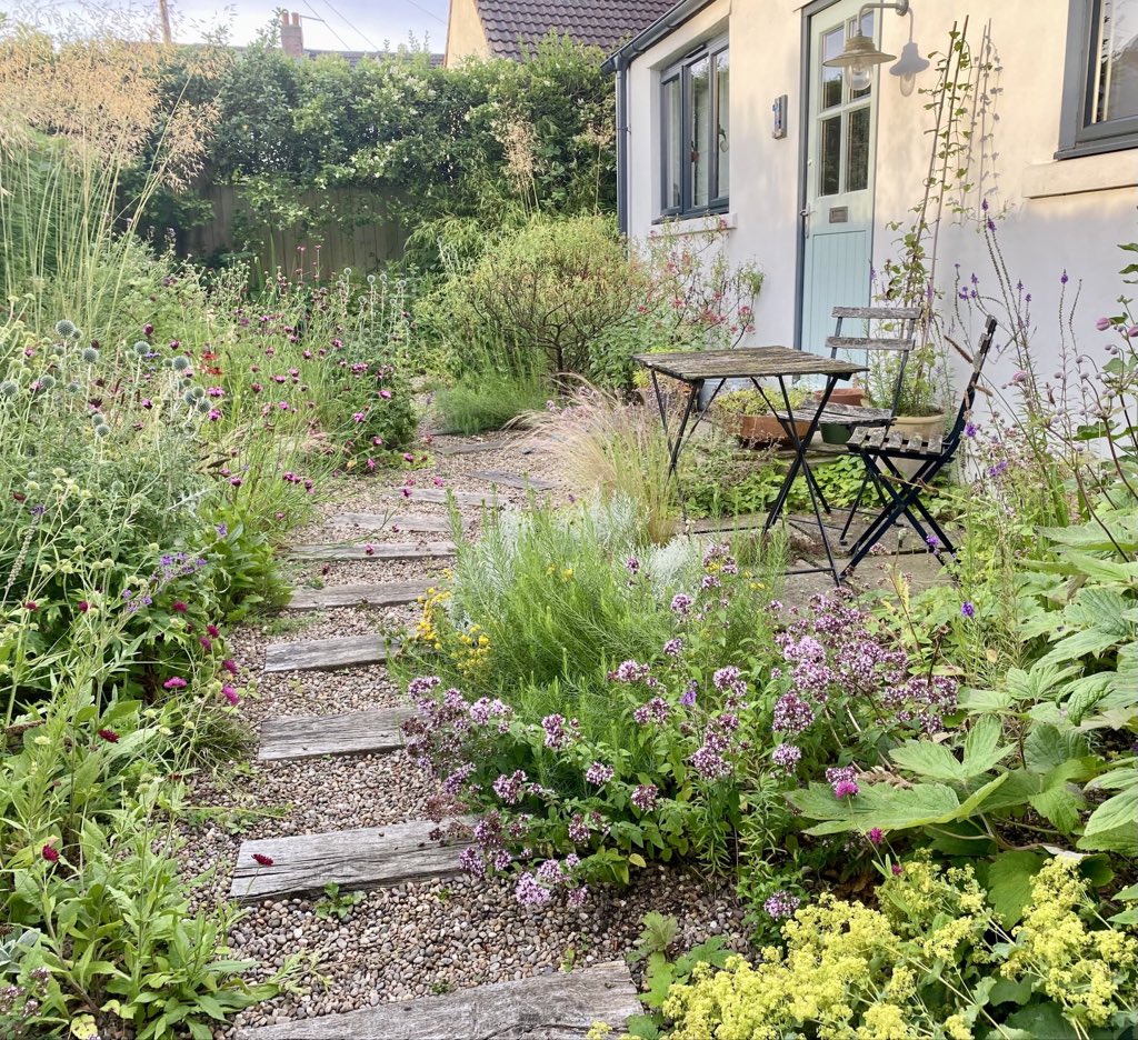 An early start for an all day meeting in Birmingham. Our front garden is in peak bloom & humming in the day with hover flies, bees & butterflies. The pond in the corner provides a much needed water source in dry spells especially for the local House sparrows #gardenwildlife