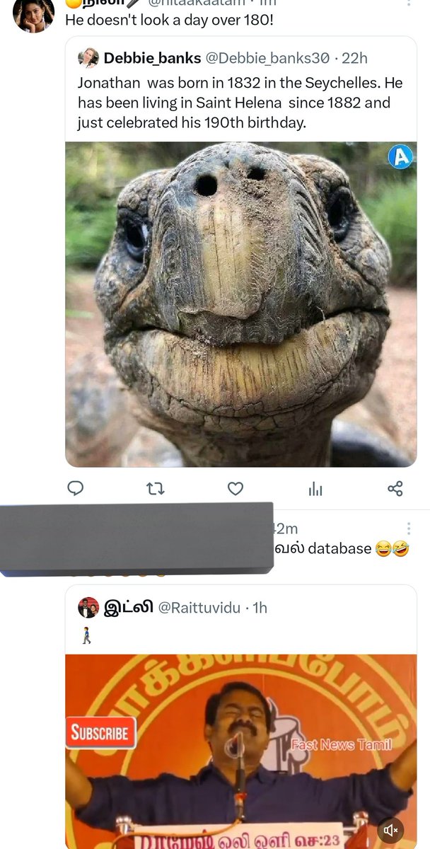tparaval's tweet image. #twitteralgorithm