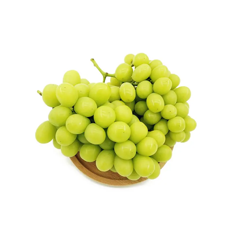 Homystar2's tweet photo. Enjoy fresh and refreshing green grapes! 🍇
This high-quality fruit is amazing, with a delicate taste and a long aftertaste. We select fresh fruits from all over the world for you, just to let you taste the best food experience.
https://t.co/lRQn1oKik6
#fruitsupply #freshfruit https://t.co/QaD1SLquMo
