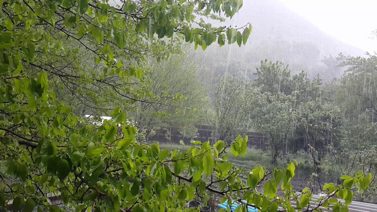 todays_az's tweet photo. Milli Hidrometeorologiya Xidmətinin iyulun 18-si saat 9:00-a olan məlumatına əsasən ölkə ərazisində hava şəraiti qeyri-sabit olub, arabir leysan xarakterli yağış yağıb, şimşək çaxıb.

Bu barədə Xidmətdən bildirilib.

https://t.co/DA4df7ifNk https://t.co/PUawP9ctIY