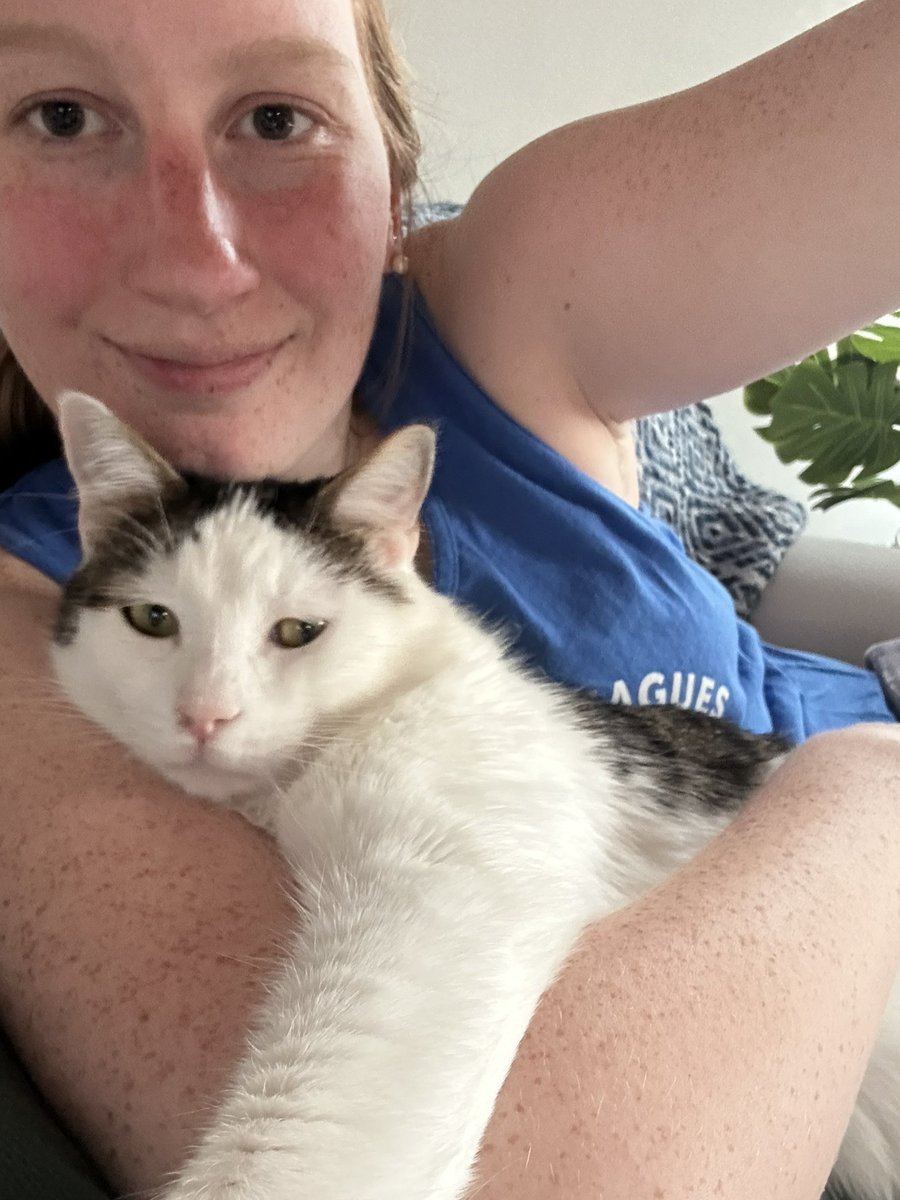 craine__'s tweet photo. Adopted my first cat 6 months ago and he turned out cuddly like this. Idk how I got so lucky https://t.co/AFUMdnXbmp