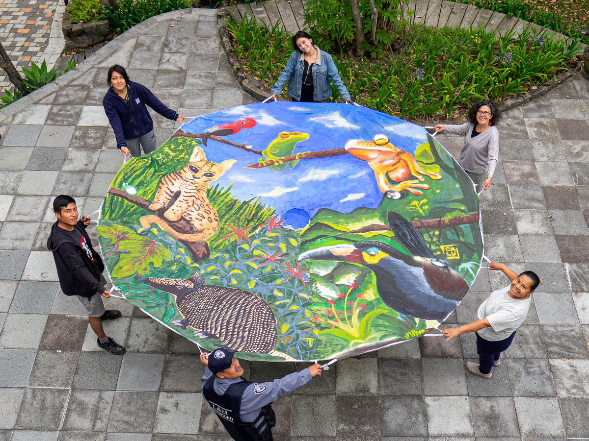 ivetteceli's tweet photo. Terminamos el día de #motherearthproject con los trabajos relacionados a la conservación del #ChocóAndino. Qué maravilla de artistas tiene la @artesuce. Gracias a Consuelo Mendez, Edison Vaca y sus estudiantes @ccbc_bellavista https://t.co/cdAEIMI8t7